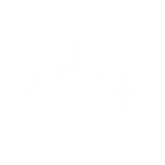 Wind